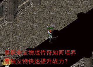 ְҵ洫ǿս