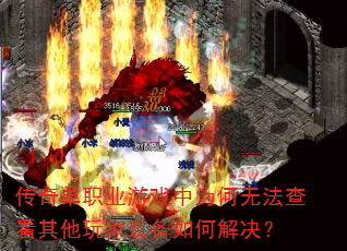 浥ְҵϷΪ޷鿴װν