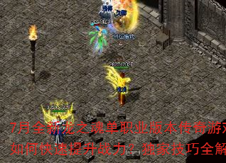 7ȫ֮굥ְҵ汾ϷοսҼȫ