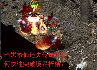ʧοͻƾ