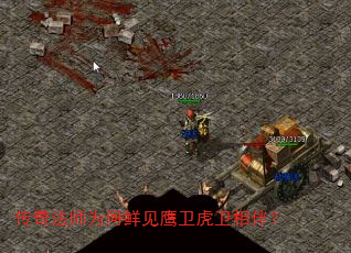 淨ʦΪʼӥ飿