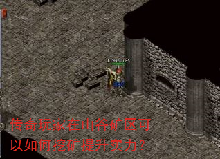 ɽȿڿʵ