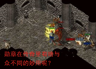 ѫڴɶڲͬأ