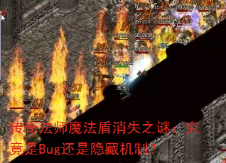 淨ʦħʧ֮գBugػƣ