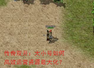 ˫СθЧӪԴ󻯣