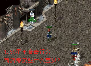 1.80ϻл̵궼Щʲô