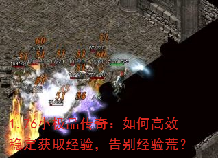 1.76СƷ棺θЧȶȡ飬ģ