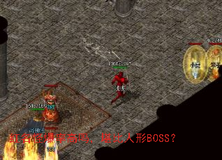ֱʸ𣬿BOSS