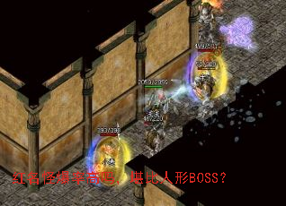 ֱʸ𣬿BOSS