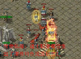 ˽ʿְҵЩɫ淨
