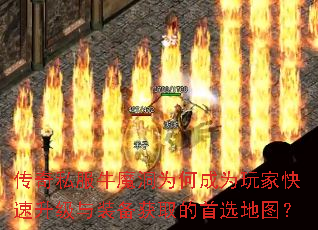 ˽ţħΪγΪҿװȡѡͼ