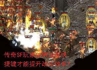 SFÿݼսЧʣ