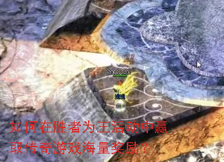 ʤΪӮȡϷ
