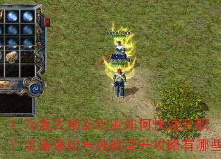 1.76žƷοְװǿ뼼Щ