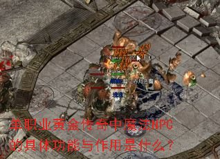 ְҵƽħNPCľ幦ʲô