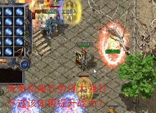 ˽̫ǿ򲻹ս
