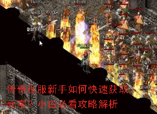 ˽οٻȡԪСױؿԽ