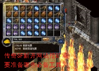 SF¿վڿҪ׼Щرߣ
