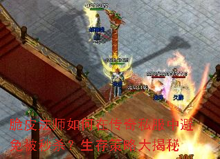 脆皮法师如何在传奇私服中避免被秒杀?生存策略大揭秘 脆皮法师如何在传奇私服中避免被秒杀?生存策略大揭秘