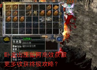 卧龙山庄如何高效获取更多收获终极<a href=