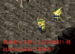 黄泉教主为何让人闻风丧胆?挑战BOSS必备技巧有哪些? 黄泉教主为何让人闻风丧胆?挑战BOSS必备技巧有哪些?