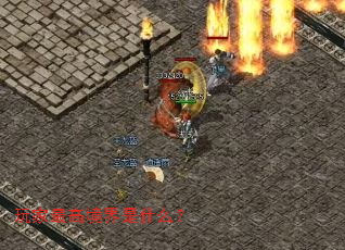 玩家最高境界是什么? 玩家最高境界是什么?