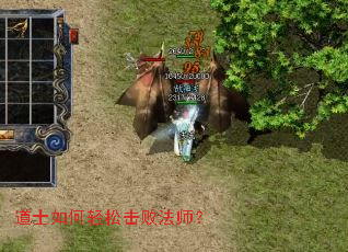道士如何轻松击败法师? 道士如何轻松击败法师?