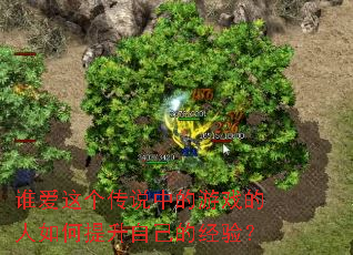 谁爱这个传说中的游戏的人如何提升自己的经验? 谁爱这个传说中的游戏的人如何提升自己的经验?