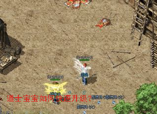 道士宝宝如何快速升级? 道士宝宝如何快速升级?