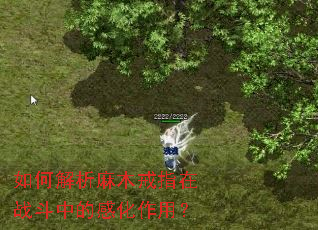 如何解析麻木戒指在战斗中的感化作用? 如何解析麻木戒指在战斗中的感化作用?