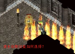 道士前期技能如何选择? 道士前期技能如何选择?