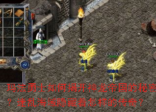 귨ʿνҿ۹ܣҺĴ棿