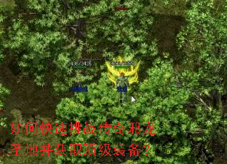 如何快速挑战传奇邪龙圣地并获取顶级装备? 如何快速挑战传奇邪龙圣地并获取顶级装备?