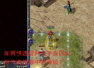 如何快速提升在平安区坐标传奇搜服中的等级? 如何快速提升在平安区坐标传奇搜服中的等级?