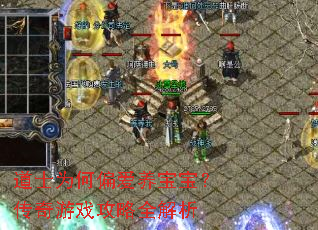 道士为何偏爱养宝宝?传奇游戏攻略全解析 道士为何偏爱养宝宝?传奇游戏攻略全解析