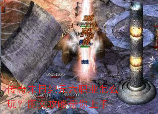 ĩռԪְҵô棿ͼĹԴ