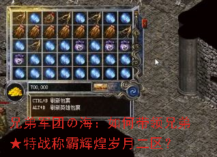 兄弟军团の海:如何带领兄弟★特战称霸辉煌岁月二区? 兄弟军团の海:如何带领兄弟★特战称霸辉煌岁月二区?