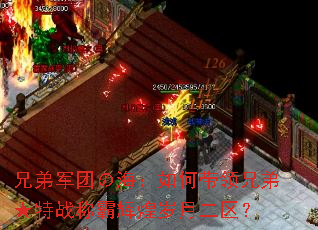 兄弟军团の海:如何带领兄弟★特战称霸辉煌岁月二区? 兄弟军团の海:如何带领兄弟★特战称霸辉煌岁月二区?