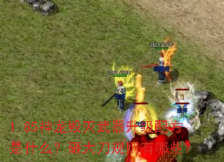 1.85神龙毁灭武器升级配方是什么?砸大刀规则有哪些? 1.85神龙毁灭武器升级配方是什么?砸大刀规则有哪些?