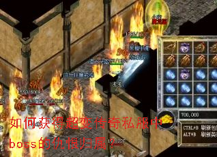 如何获得超变传奇私服中boss的仇恨归属? 如何获得超变传奇私服中boss的仇恨归属?