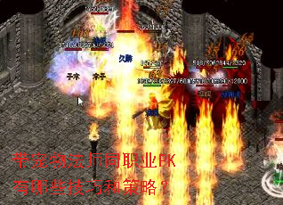 带宠物法师同职业PK有哪些技巧和策略? 带宠物法师同职业PK有哪些技巧和策略?