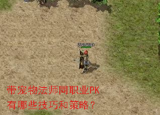 带宠物法师同职业PK有哪些技巧和策略? 带宠物法师同职业PK有哪些技巧和策略?