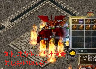 如何成为佣兵大陆传奇的顶级RMB玩家? 如何成为佣兵大陆传奇的顶级RMB玩家?