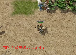 �����Ч����˫ͷ��գ�