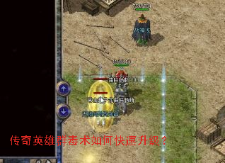 ����Ӣ��Ⱥ������ο���������