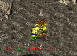 ����Ӣ��Ⱥ������ο���������