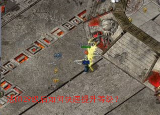 ��ʦ29������ο��������ȼ���