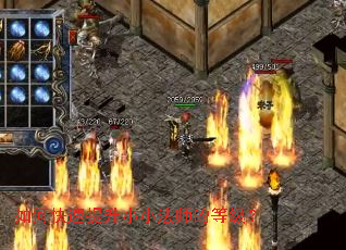 ��ο�������СС��ʦ�ĵȼ���