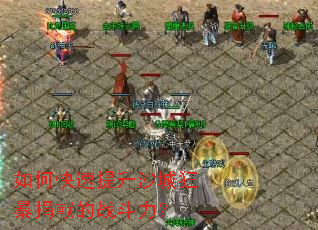 ��ο�������ɳ�ǿ񱩾��׵�ս������