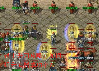 ��ʿ�������ԣ�������������ɹ��ʣ�